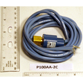 Johnson Controls P100Aa-2C Encapsulated Pressure P100AA-2C